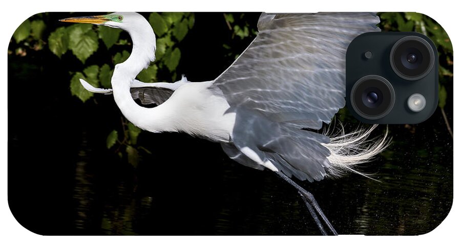 Great Egret iPhone Case featuring the photograph Toe Draggin' by Jim Miller