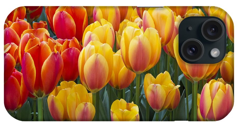 Beauty iPhone Case featuring the photograph Together We Stand by Eggers Photography