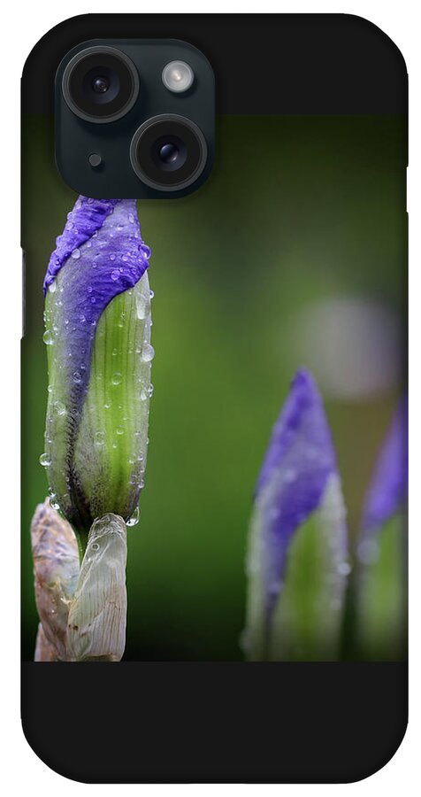 Flower iPhone Case featuring the photograph Tomorrrow's Iris by Karen Adams
