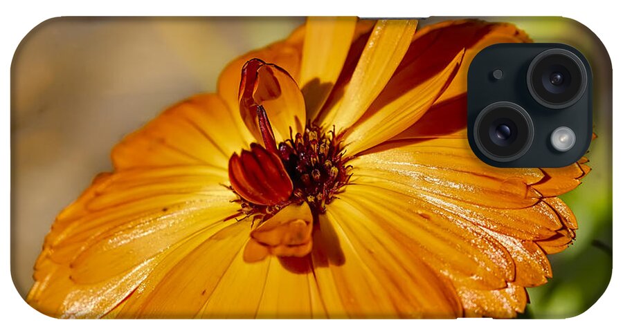 Flower iPhone Case featuring the photograph Tones in orange by Leif Sohlman