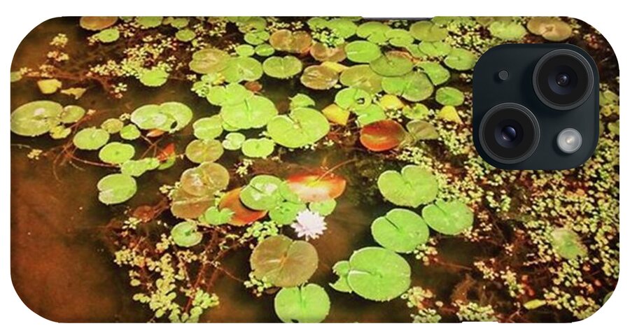 Beautiful iPhone Case featuring the photograph Took This Amazing Photo Of Lily Pads At by Genevieve Esson
