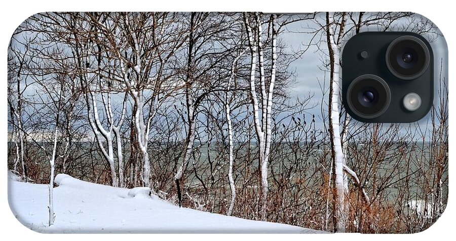 Season iPhone Case featuring the photograph Top of the Bluff by Michelle Calkins