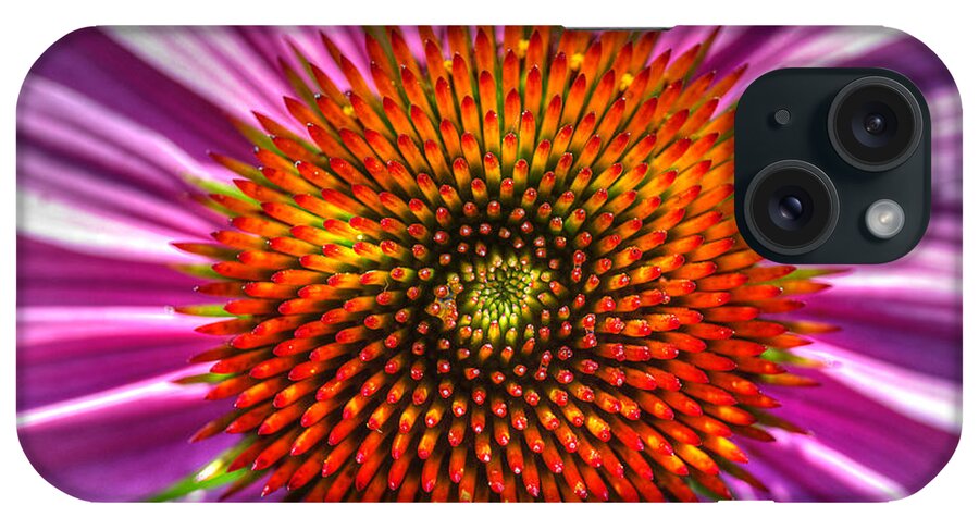 Pink Coneflower iPhone Case featuring the photograph Top Of The Coneflower by Michael Eingle