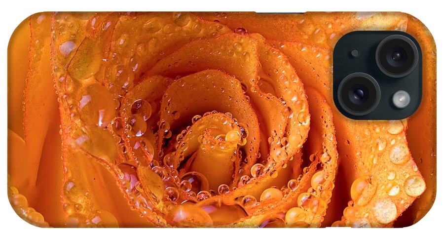 Rose iPhone Case featuring the photograph Top View of an Orange Rose with Droplets by Brad Boland