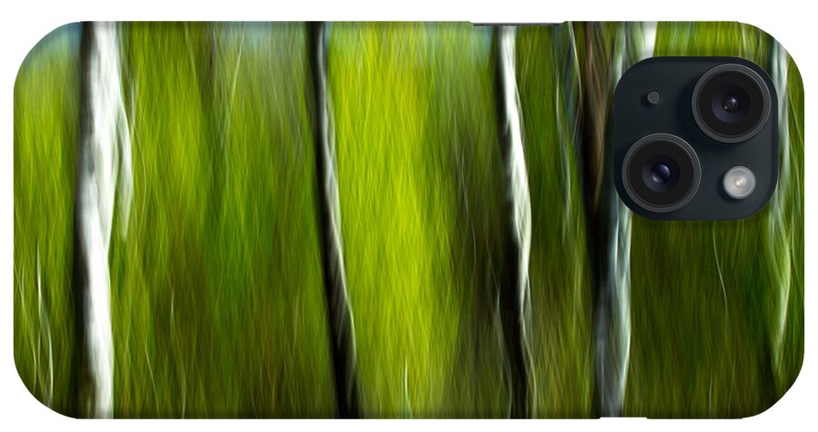 Trees iPhone Case featuring the photograph Torsion and Tension by Todd Klassy