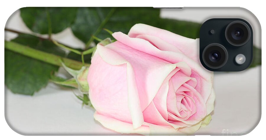 Rose iPhone Case featuring the photograph Touch of Love by Anita Oakley