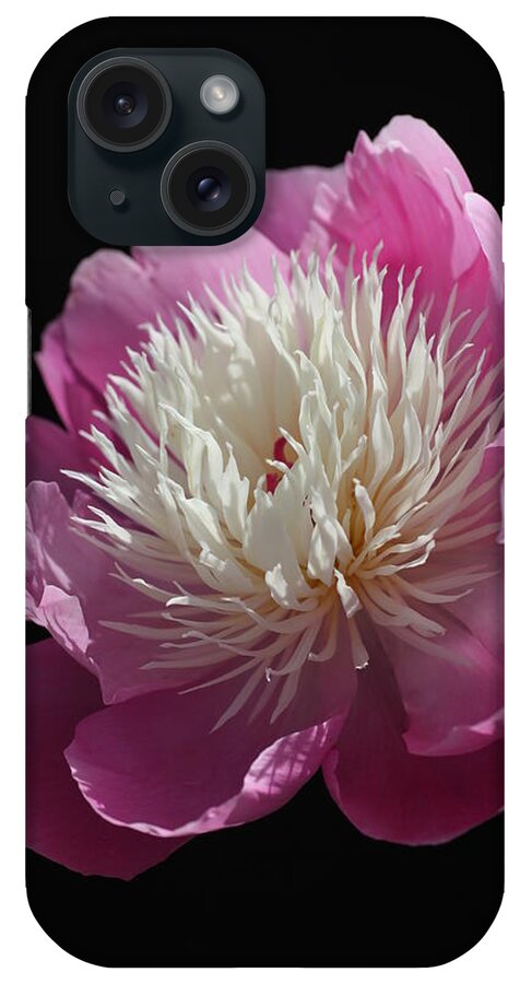 Peony iPhone Case featuring the photograph Touched by the Sun Peony by Tammy Pool