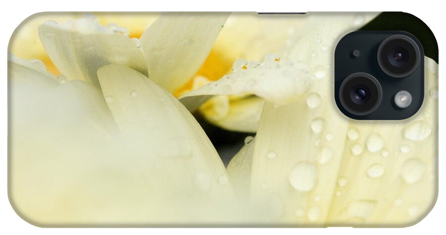 Daisy iPhone Case featuring the photograph Touching by Angela Rath