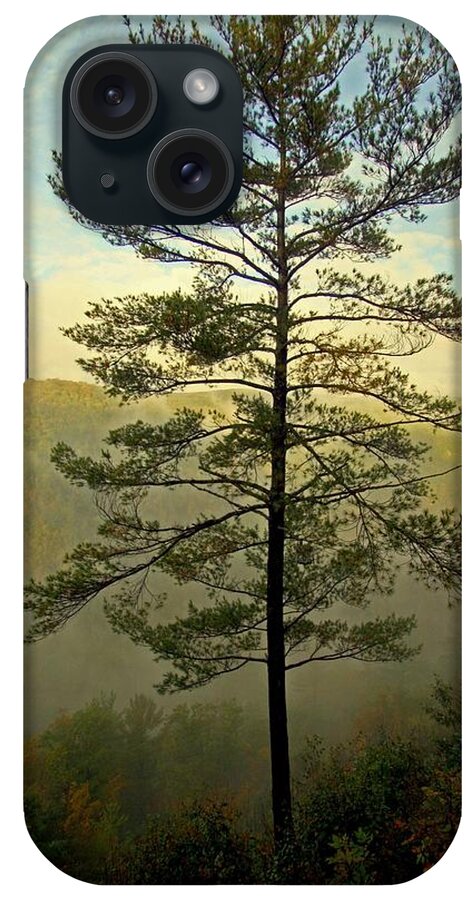 Pine Creek Gorge iPhone Case featuring the photograph Towering Pine by Suzanne Stout