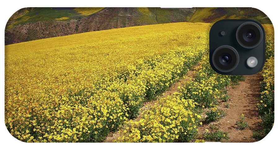 Wildflower iPhone Case featuring the photograph Trail of wildflowers up the Temblor Range at Carrizo Plain National Monument by Jetson Nguyen