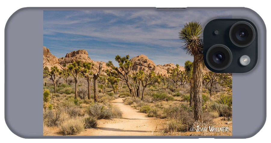 California iPhone Case featuring the photograph Trail through Joshua Trees by Joan Wallner