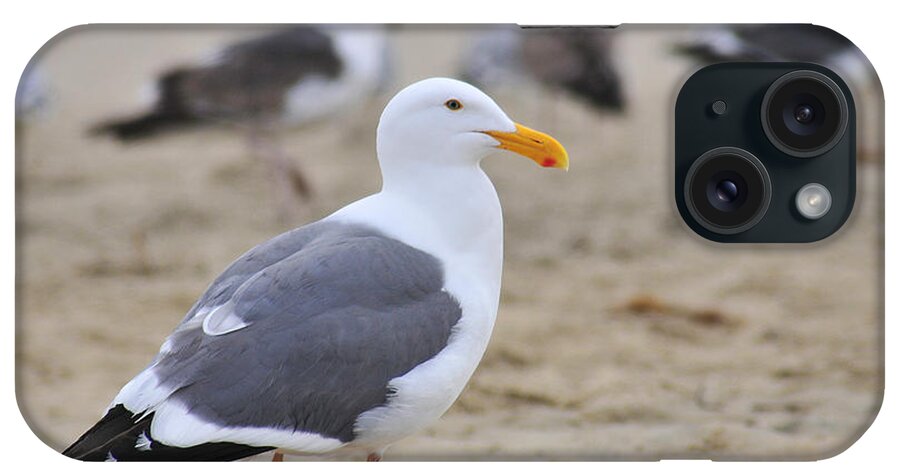 Bird iPhone Case featuring the photograph Tranquil with friends by Robert WK Clark
