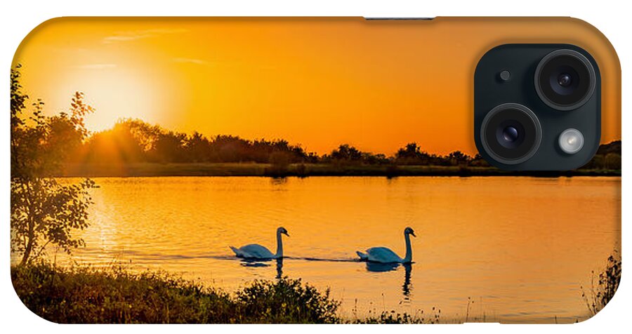 Swan iPhone Case featuring the photograph Tranquility by Nick Bywater