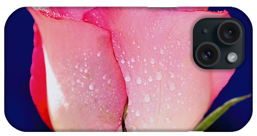 Rose iPhone Case featuring the photograph Translucent Rose by Gary Dean Mercer Clark