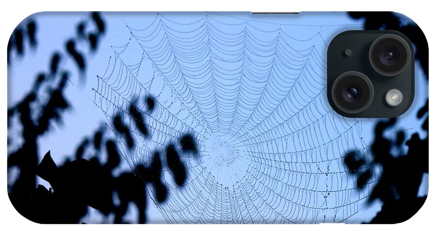 Spider Web iPhone Case featuring the photograph Transparent Web by Sheri Simmons