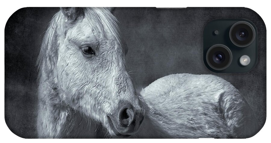 Wild Horses iPhone Case featuring the photograph Traveler Portrait No 1 BW by Belinda Greb