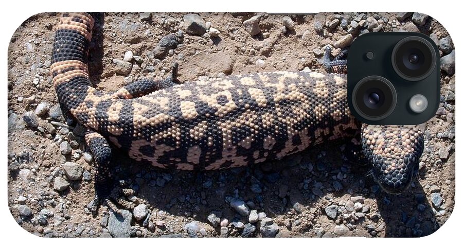 Gila Monster iPhone Case featuring the photograph Traveler the Gila Monster by Judy Kennedy