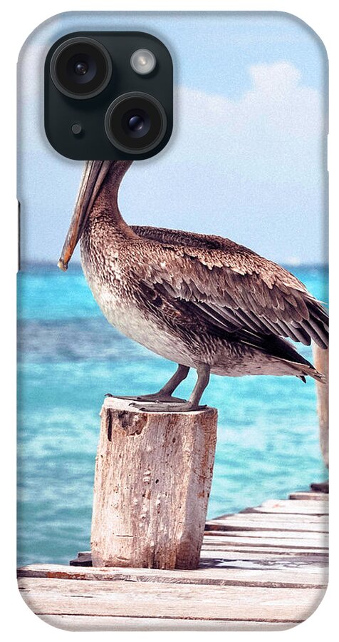 Beautiful iPhone Case featuring the photograph Treasure Coast Pelican Pier Sunrise Seascape C2 by Ricardos Creations