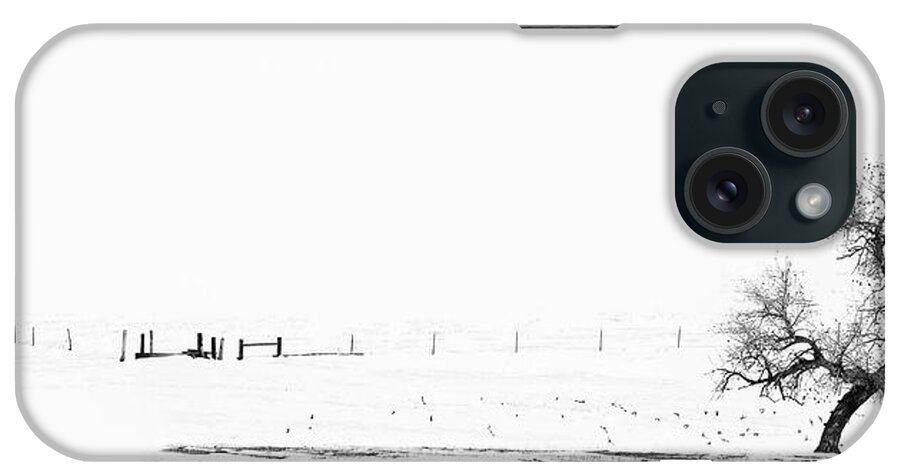 Colorado iPhone Case featuring the photograph Tree and Birds by Debra Boucher