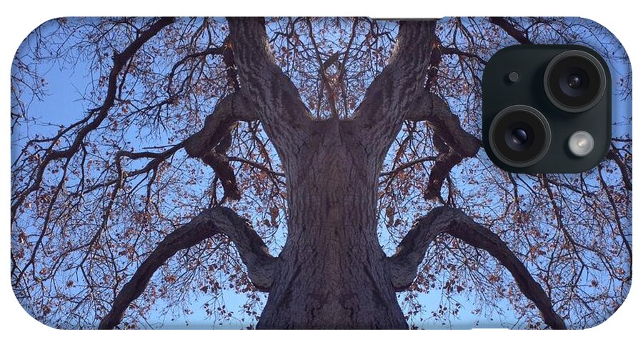 Creature iPhone Case featuring the photograph Tree Creature by Nora Boghossian
