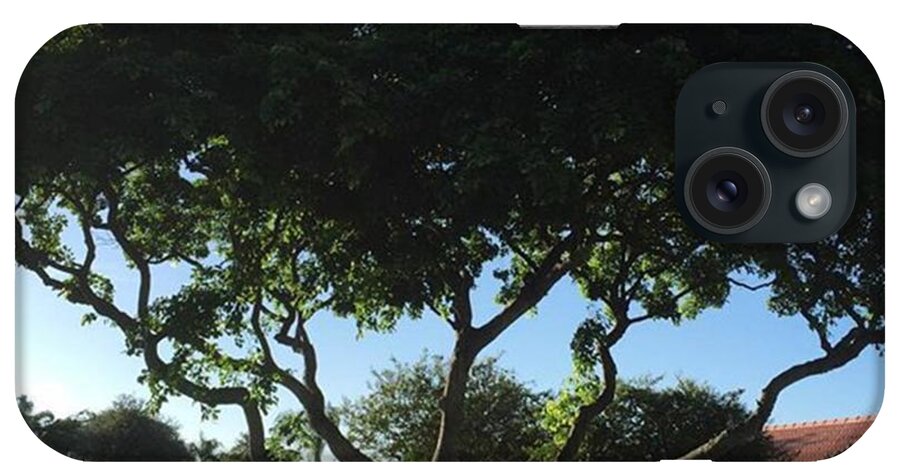 Juansilvaphotos iPhone Case featuring the photograph Tree In Boca Raton Neighborhood by Juan Silva