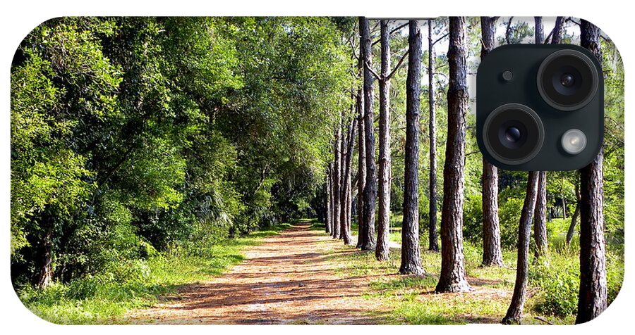 Trees iPhone Case featuring the photograph Tree Lined Path by Terri Mills