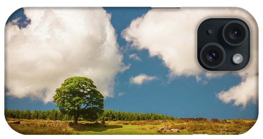 Airedale iPhone Case featuring the photograph Tree by Mariusz Talarek