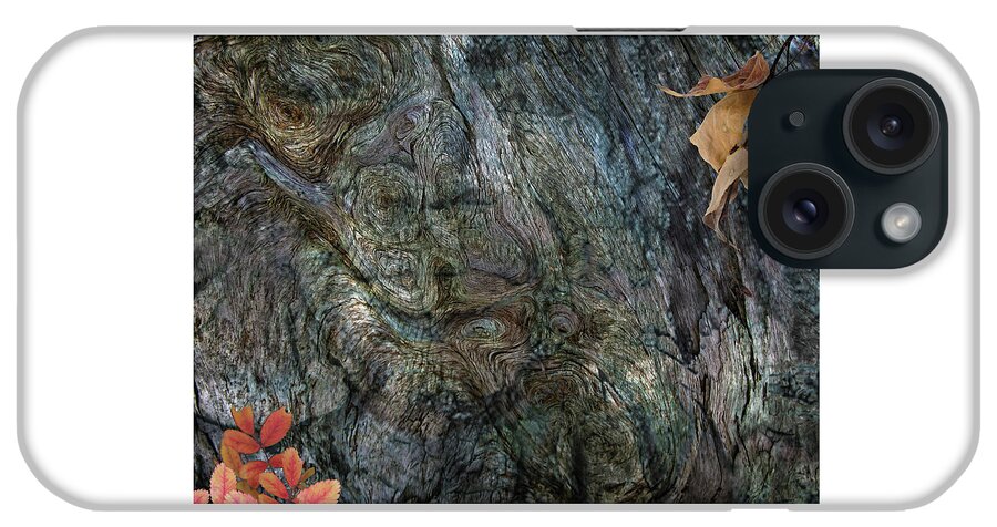 Trees iPhone Case featuring the photograph Tree Memories # 33 by Ed Hall