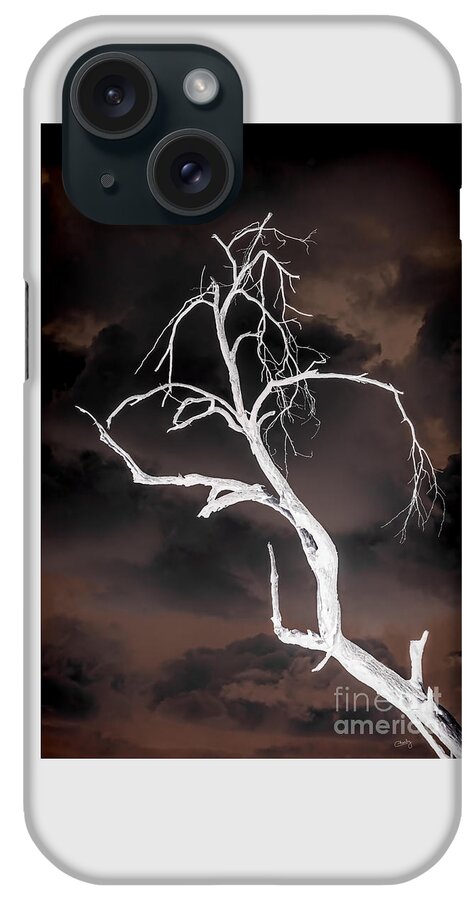 Tree Negative iPhone Case featuring the photograph Tree Negative by Imagery by Charly