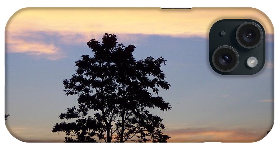 Landscape iPhone Case featuring the photograph Tree Of Dreams by Traci Goebel