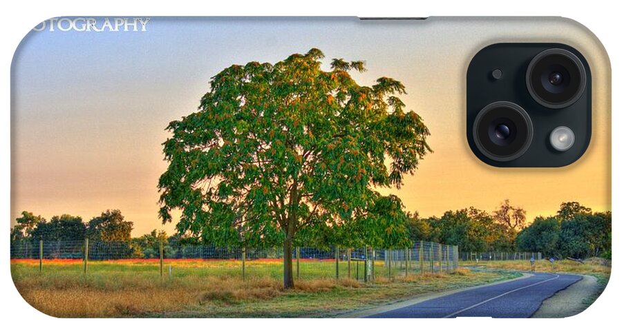 Landscape iPhone Case featuring the photograph Tree on the Trail by Randy Wehner