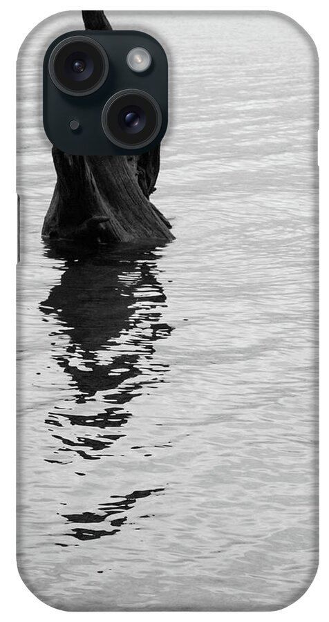 Tree iPhone Case featuring the photograph Tree Reflections, Rest in the Water by Trance Blackman