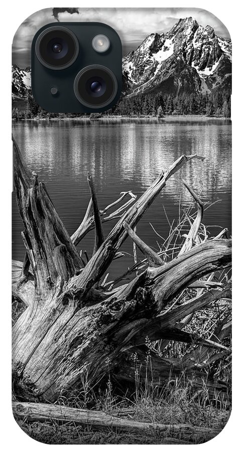 Art iPhone Case featuring the photograph Tree Stump on the Northern Shore of Jackson Lake in Black and White by Randall Nyhof
