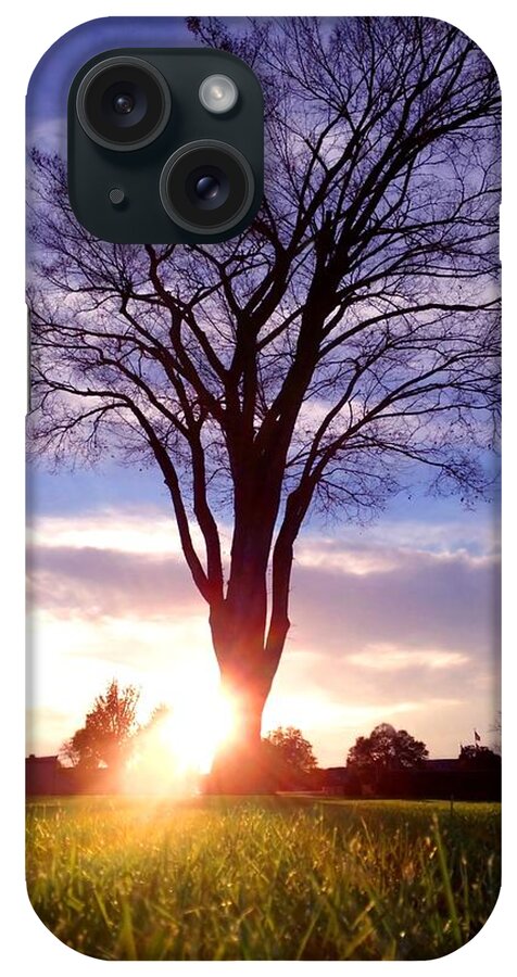 Landscape iPhone Case featuring the photograph Tree Sun Lit by Morgan Carter