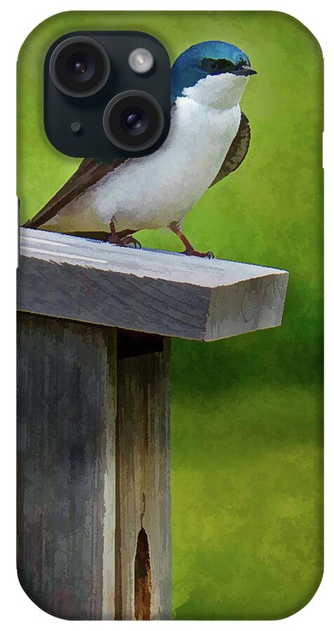 Bird iPhone Case featuring the photograph Tree Swallow by David Thompsen