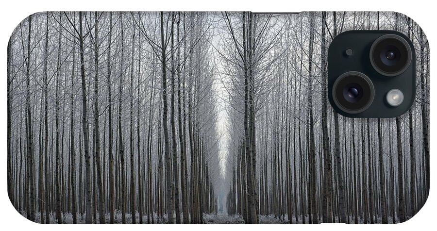 Tree iPhone Case featuring the photograph Tree Symmetry by Whispering Peaks Photography