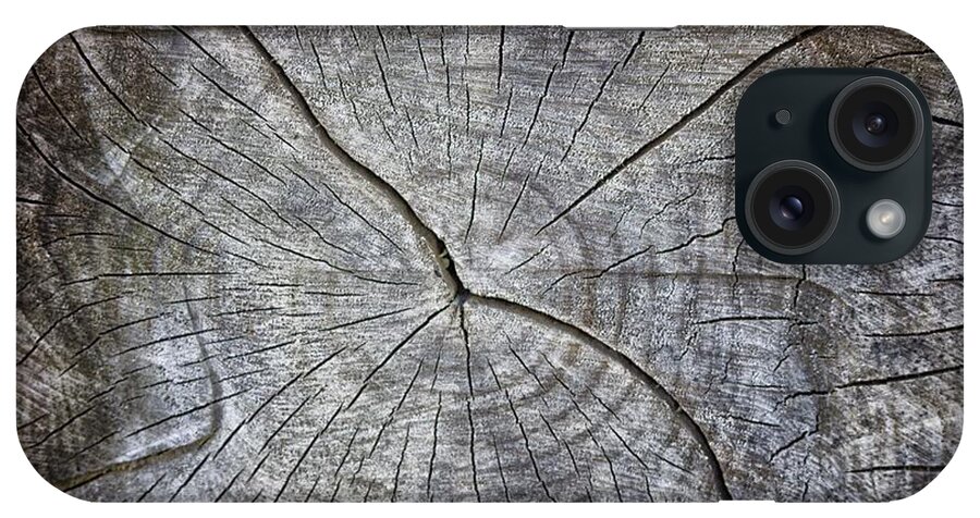 Trunk iPhone Case featuring the photograph Tree Textures by Martin Newman