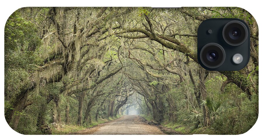 Tree iPhone Case featuring the photograph Tree Tunnel by Denise Bush