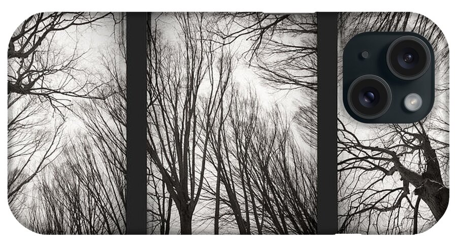 Black&white iPhone Case featuring the photograph Treeology by Dorit Fuhg