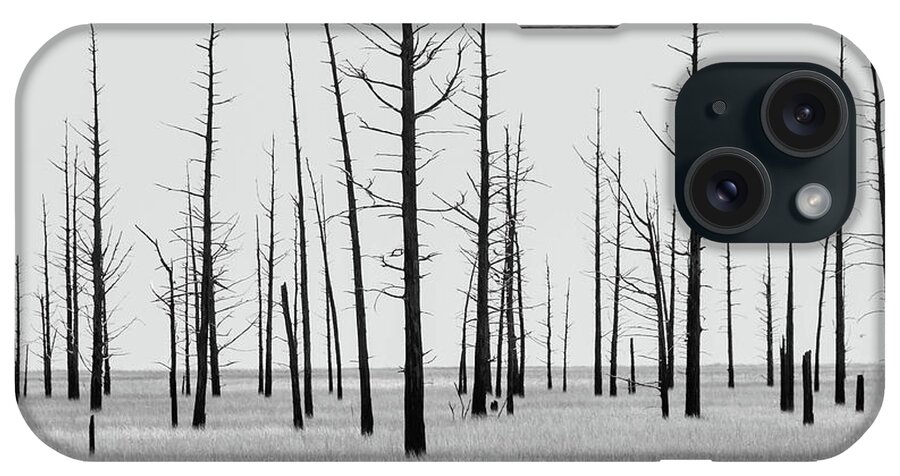 Landscape iPhone Case featuring the photograph Trees Die off by Louis Dallara