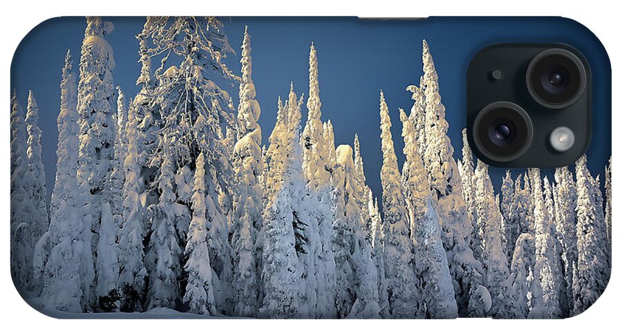 Montana iPhone Case featuring the photograph Trees by Thomas Nay