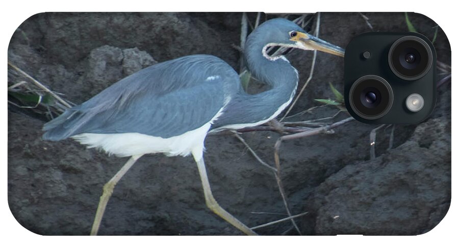 Tropical Bird iPhone Case featuring the photograph Tri-Colored Heron by Jessica Levant