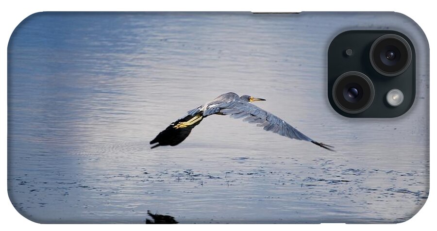 Tri-colored Heron In Flight iPhone Case featuring the photograph Tri-colored Heron by Jim Bennight