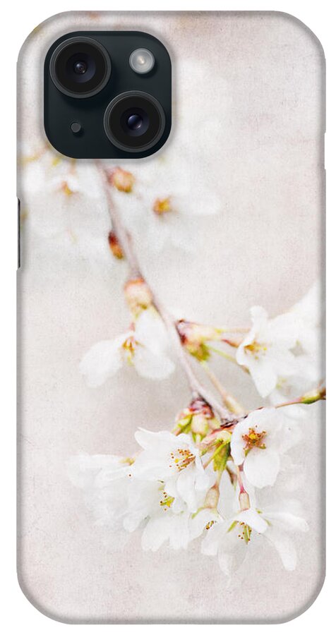 Flowers iPhone Case featuring the photograph Triadelphia Cherry Blossoms by Jill Love