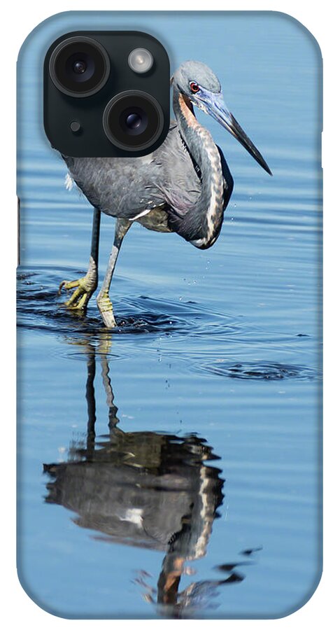 Dawn Currie Photography iPhone Case featuring the photograph Tricolored Heron Full Tilt by Dawn Currie