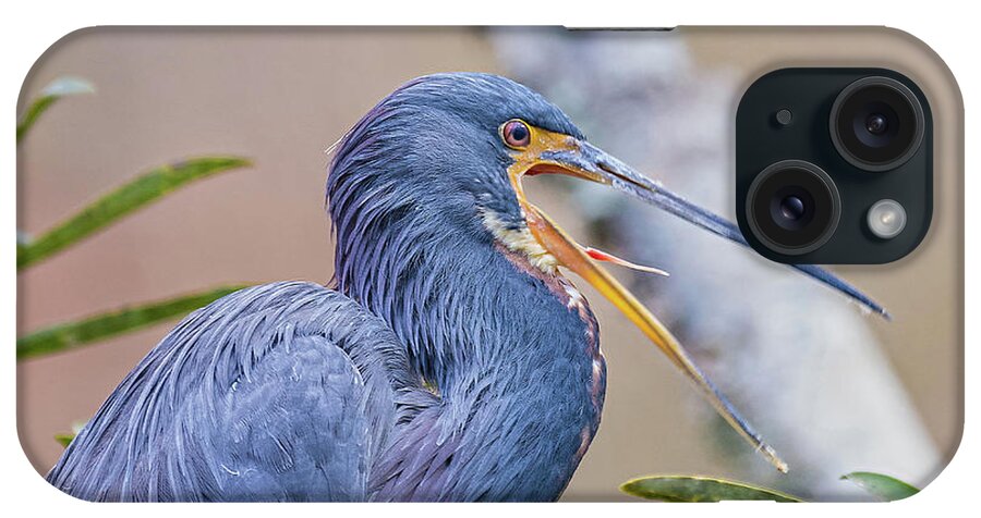 Nature iPhone Case featuring the photograph Tricolored Heron Yawning UP CLOSE by DB Hayes