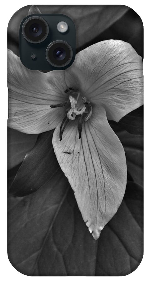 Flower iPhone Case featuring the photograph Trillium in White by Charles Lucas