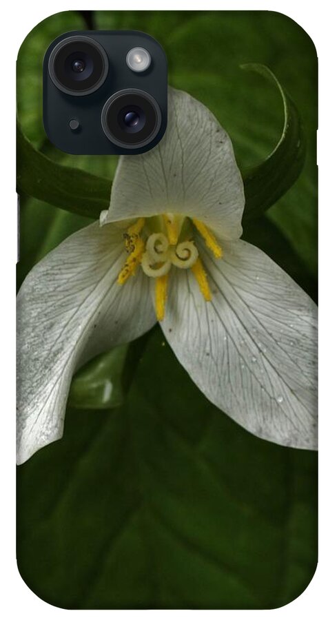 Flowers iPhone Case featuring the photograph Trillium Spirals by Charles Lucas