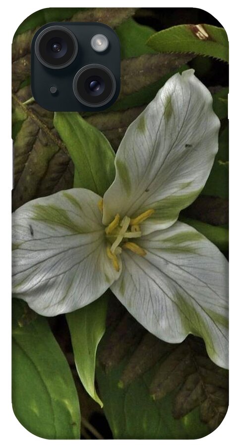 Flowers iPhone Case featuring the photograph Trillium with rare green accents by Charles Lucas