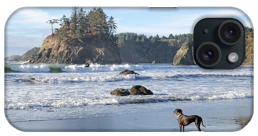 Trinidad iPhone Case featuring the photograph Surfer's Best Friend by Jon Exley